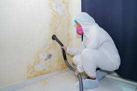 Why You Should Choose Our Mold Remediation Services in Peabody, KS